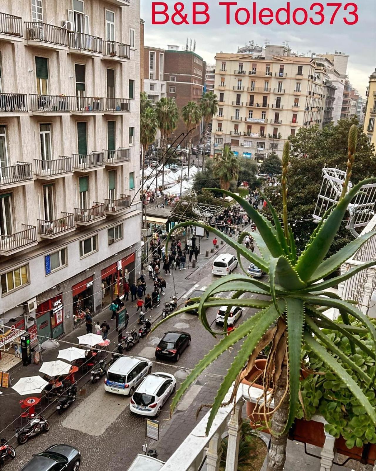 Toledo's Family Napoli