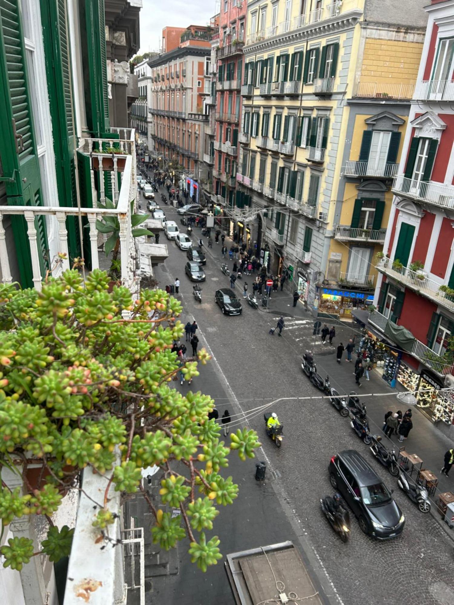 Bed & Breakfast Toledo's Family Napoli